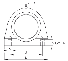 直立式軸承座單元 RSHEY50-TV-VA, 塑料軸承座，內(nèi)圈帶平頭螺釘?shù)耐馇蛎媲蜉S承，耐腐蝕設計，R 型密封
