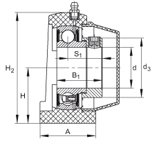 直立式軸承座單元 PSHE30-TV-FA125.5, 塑料軸承座，帶偏心鎖圈的外球面球軸承，帶 Corrotect? 涂層，P型密封